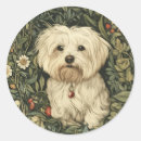 Search for bichon stickers Cute