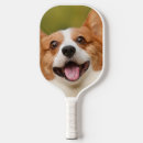 Search for pickleball dog Pets