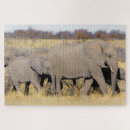 Search for african puzzles Wild