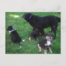 Search for missing you mom postcards Mum