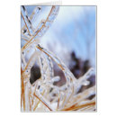 Search for newfoundlands cards Winter