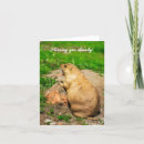 Search for already cards Cute