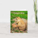 Search for we miss you postcards Cute
