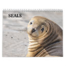 Search for seal calendars Animal