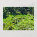 Search for bali horizontal postcards Landscape