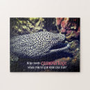 Search for eel Funny