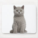 Search for weeks mouse mats Baby animals