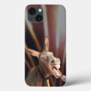 Search for animal farm iphone cases Humour