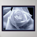 Search for tint posters Floral