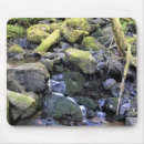 Search for creeks electronics Nature