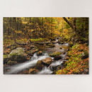 Search for white mountains puzzles Forest