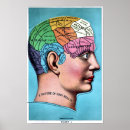 Search for vintage phrenology posters Anatomy