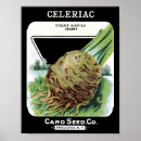 Search for vintage seed packets posters Seeds