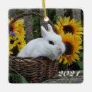 Search for easter bunny christmas tree decorations Pet