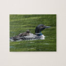 Search for loon puzzles Animal