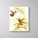 Search for hummingbird painting canvas prints Nectar
