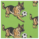 Search for dog fabric Ball