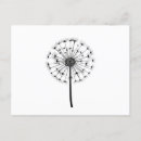 Search for dandelion postcards Plant