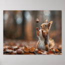 Search for cute squirrel posters Nut