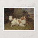 Search for spaniel postcards Cats