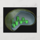 Search for single object postcards Medical