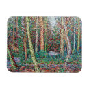 Search for forest path magnets Winter