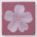 Search for geranium barware Pink