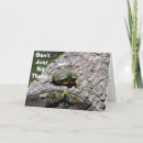 Search for turtle talk Funny