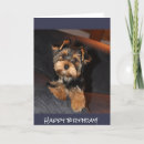 Search for yorkie cards Puppy