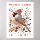 Search for vintage cardinals posters Watercolor