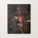 Search for mushroom puzzles Toadstool
