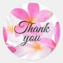Search for plumeria wedding stickers Thank you
