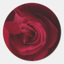 Search for sexy stickers Red