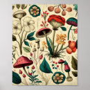 Search for premium posters Nature