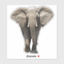 Search for tusk stickers Pachyderm
