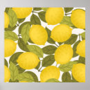 Search for vintage lemon posters Green