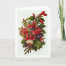 Search for fuchsias cards Red