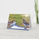 Search for older brother cards Friend