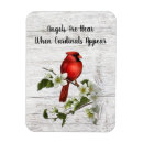 Search for appears magnets Angel