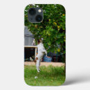 Search for leap cases Jumping