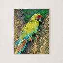 Search for costa rica puzzles Green