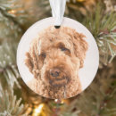 Search for goldendoodle christmas tree decorations Animal