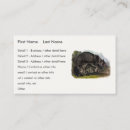 Search for north business cards Illustration