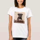 Search for german tshirts Cute