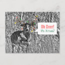 Search for wildlife christmas cards Photograph