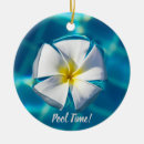 Search for pool christmas tree decorations Swimming
