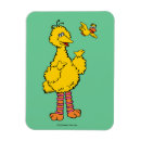 Search for big bird magnets Big birds cousin