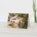 Search for trout christmas cards Fishmas