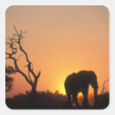 Search for rift stickers Animal