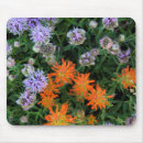 Search for caching mouse mats Cache